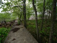 img (130)